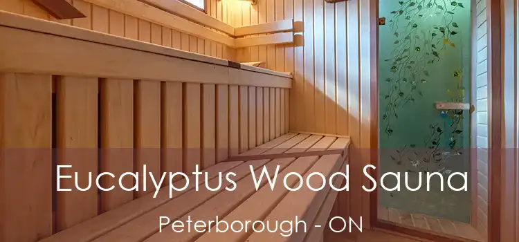  Eucalyptus Wood Sauna Peterborough - ON
